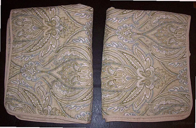 Peacock Alley Dream At Home Quilted Paisley Standard Pillow Shams~