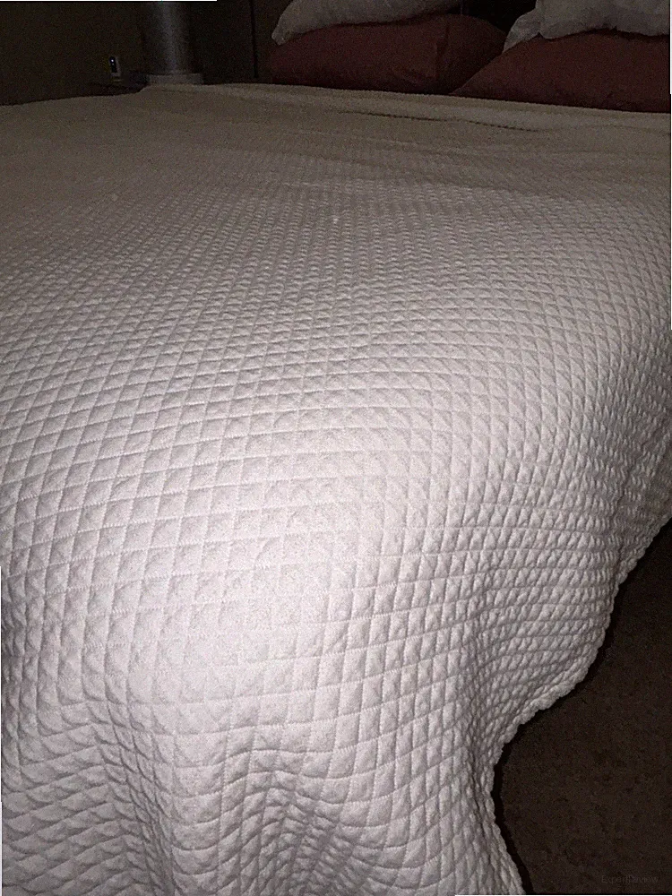 peacock alley quilted queen quilt/coverlet beige matelasse